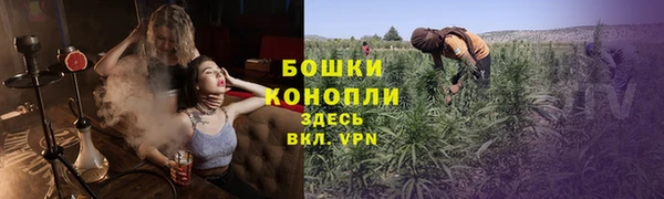 амф Горняк