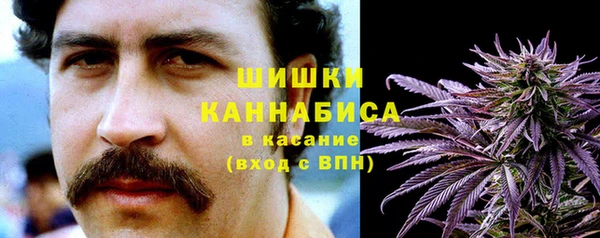 амф Горняк
