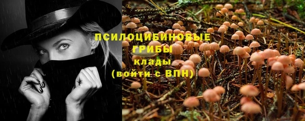 МДПВ Вяземский