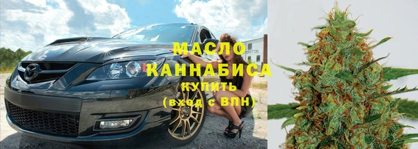 амф Горняк