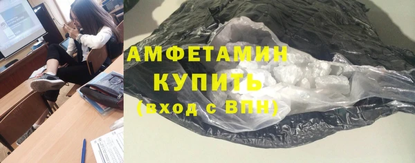 амф Горняк